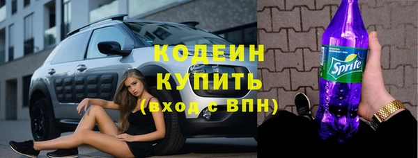 шишки Вяземский
