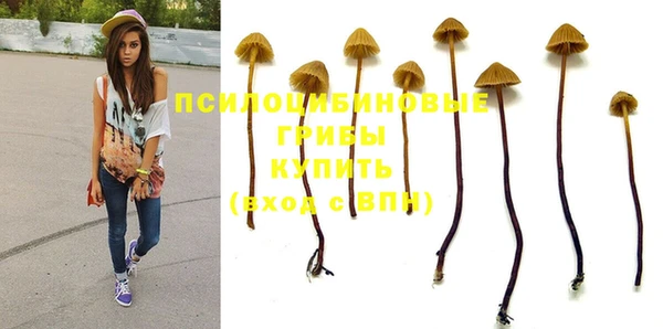 СК Вязьма