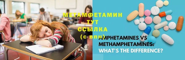 СК Вязьма