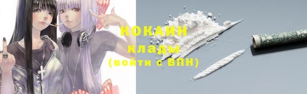 PSILOCYBIN Волосово