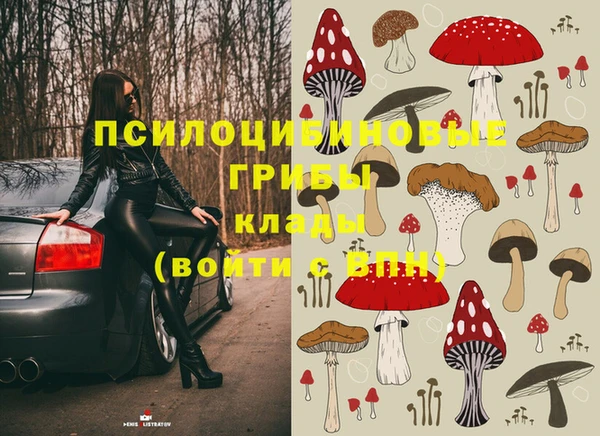 шишки Вяземский