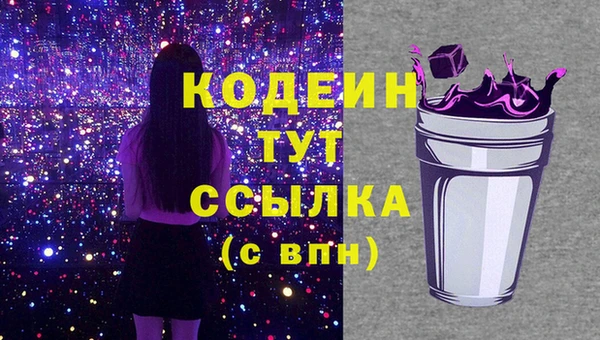 шишки Вяземский