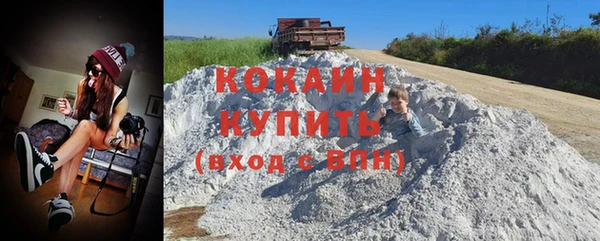 шишки Вяземский