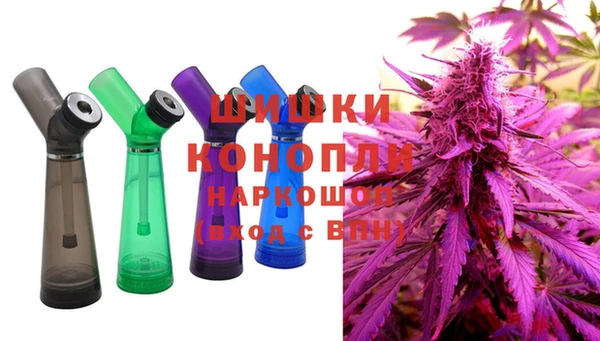 СК Вязьма