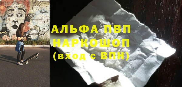 СК Вязьма