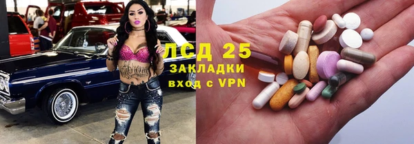 шишки Вяземский