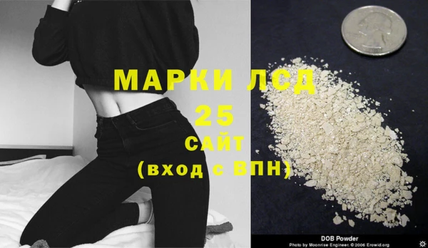 СК Вязьма