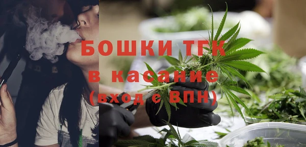 СК Вязьма