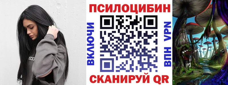 Галлюциногенные грибы Psilocybe Купить где Пролетарск